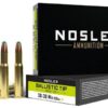 Nosler Ballistic Tip 30-30 Win